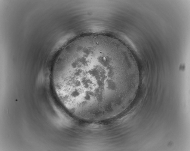 X0000092070542200709121418