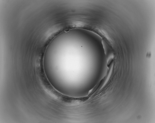 X0000092070543200709121418