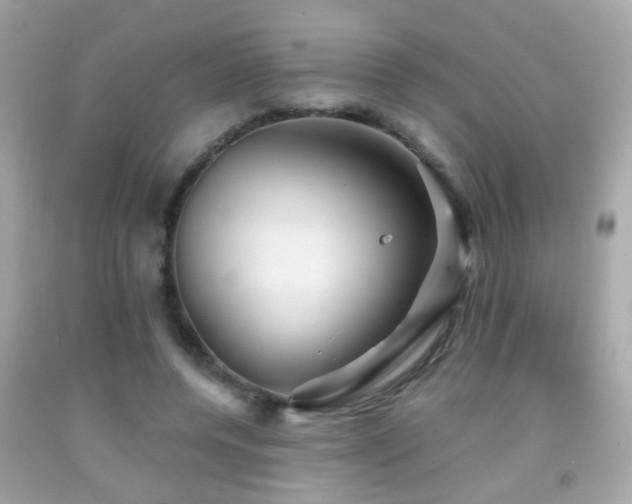 X0000092070544200709121418