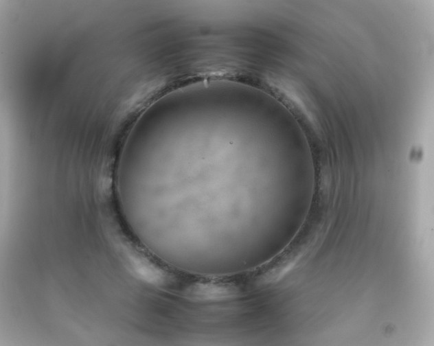 X0000092070545200709121418