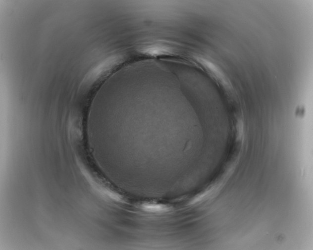 X0000092070547200709121418