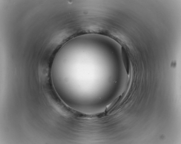 X0000092070548200709121418