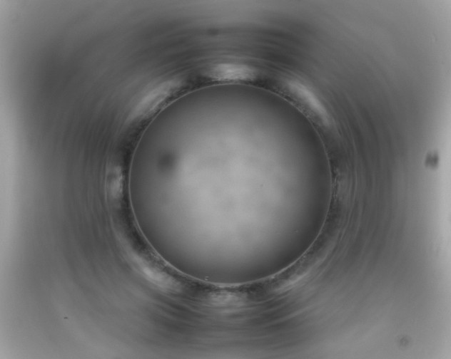 X0000092070549200709121418