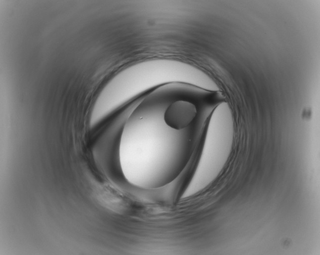 X0000092070552200709121418