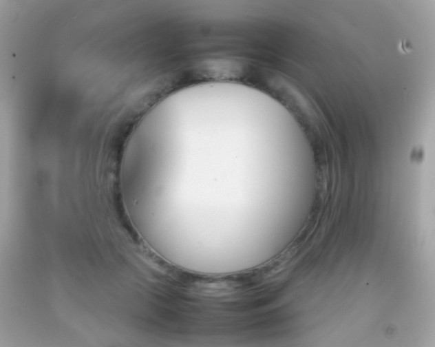 X0000092070553200709121418