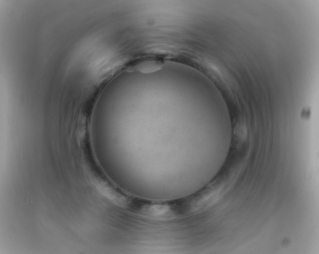 X0000092070554200709121418