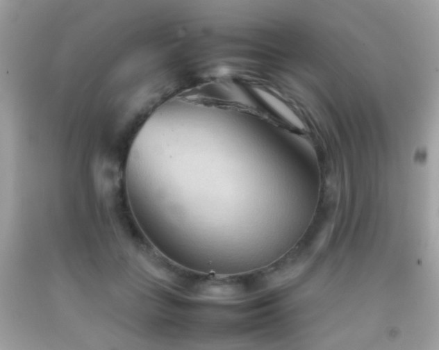 X0000092070555200709121418