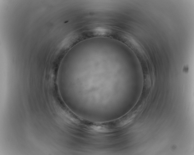 X0000092070557200709121418