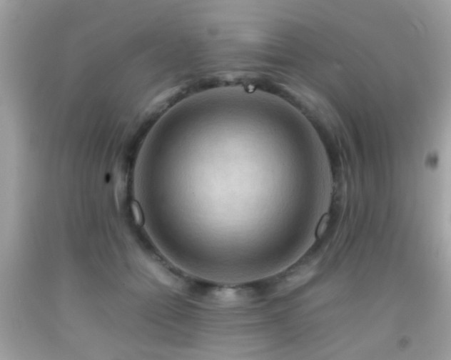 X0000092070558200709121418