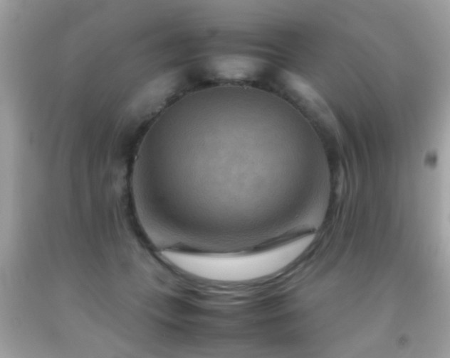X0000092070559200709121418