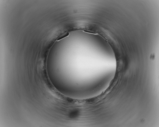 X0000092070560200709121418