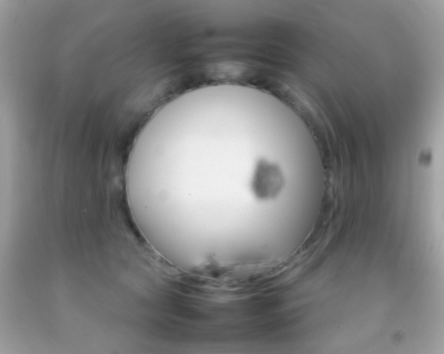 X0000092070561200709121418