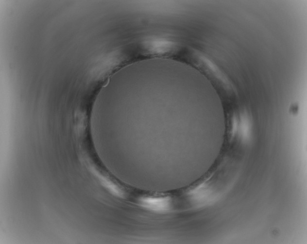 X0000092070563200709121418