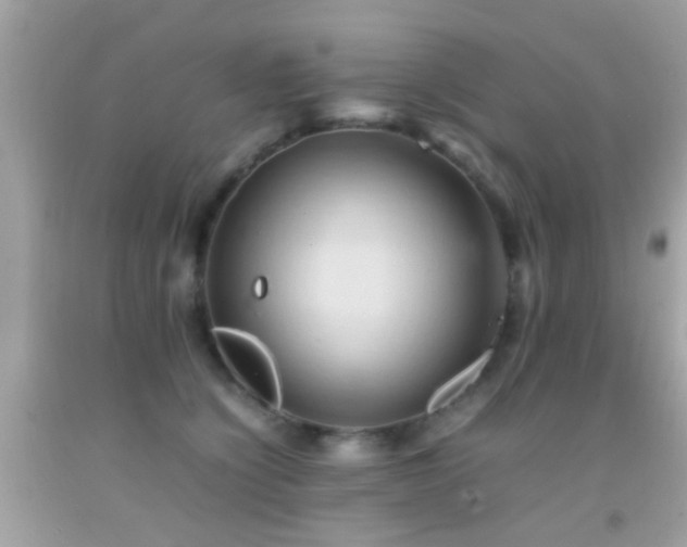 X0000092070564200709121418