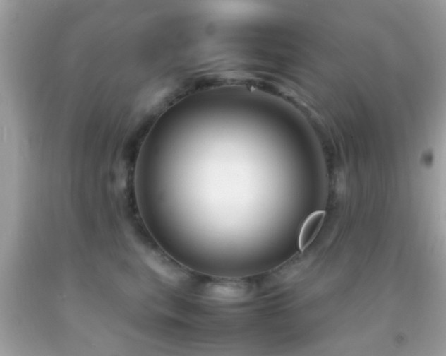 X0000092070567200709121418