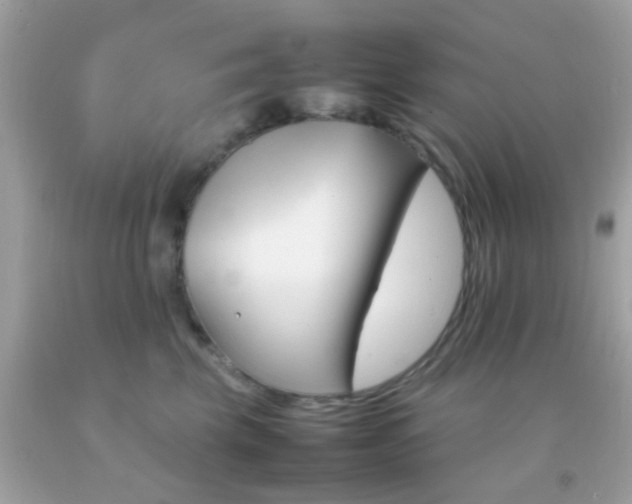 X0000092070569200709121418
