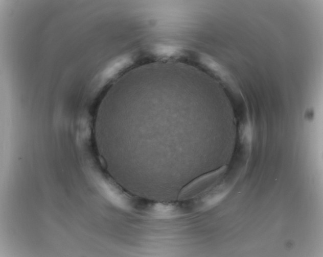 X0000092070570200709121418