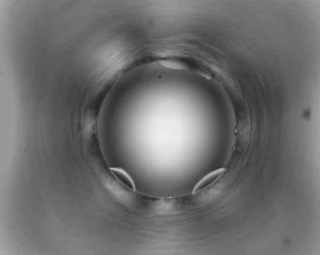 X0000092070574200709121418