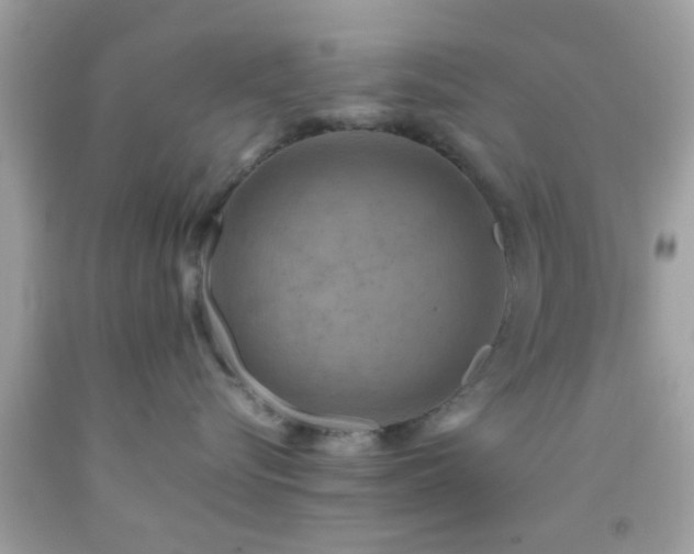 X0000092070576200709121419