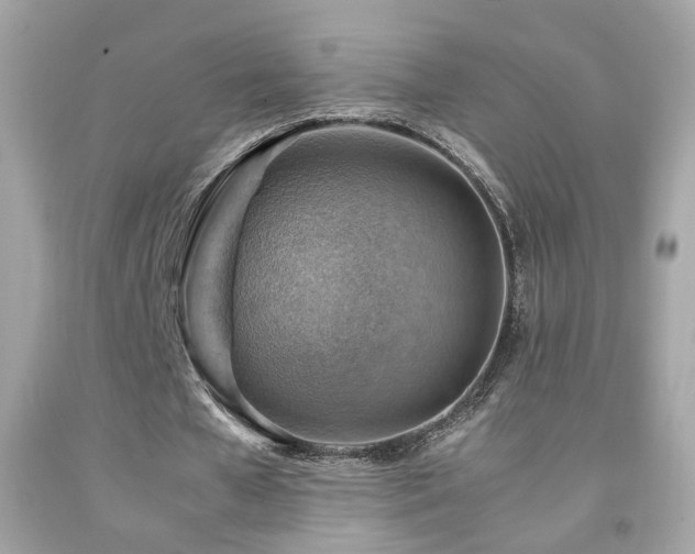 X0000092070577200709121418