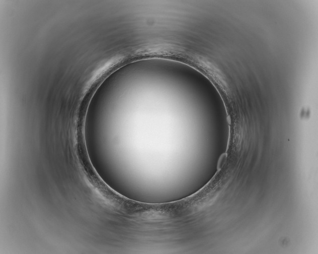 X0000092070578200709121418