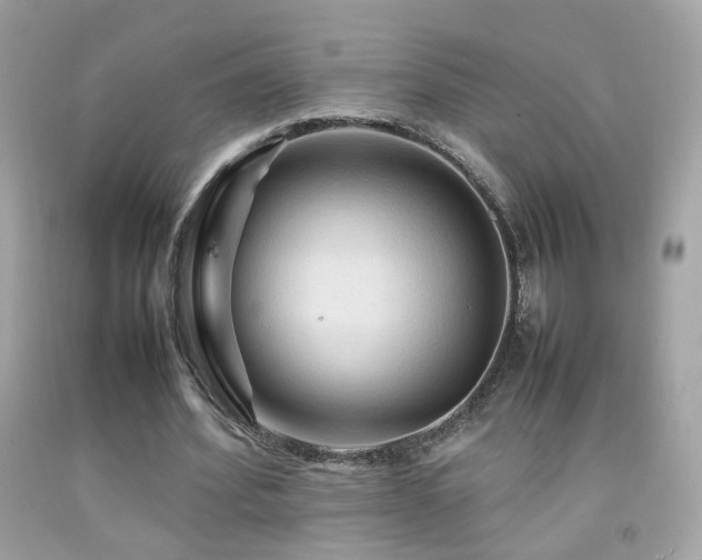 X0000092070580200709121418