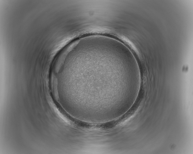 X0000092070581200709121418