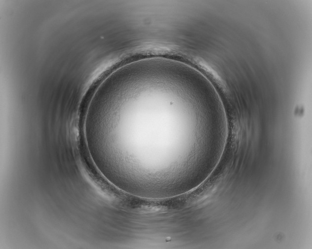 X0000092070582200709121418