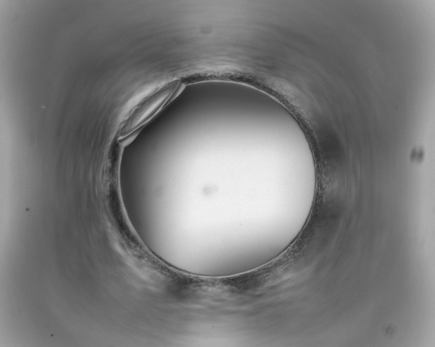 X0000092070583200709121418