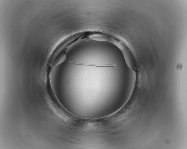 X0000092070584200709121418