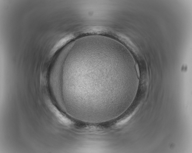 X0000092070585200709121418