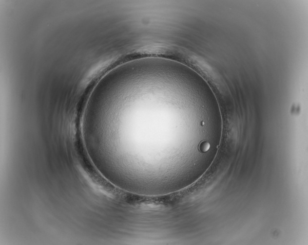 X0000092070586200709121418