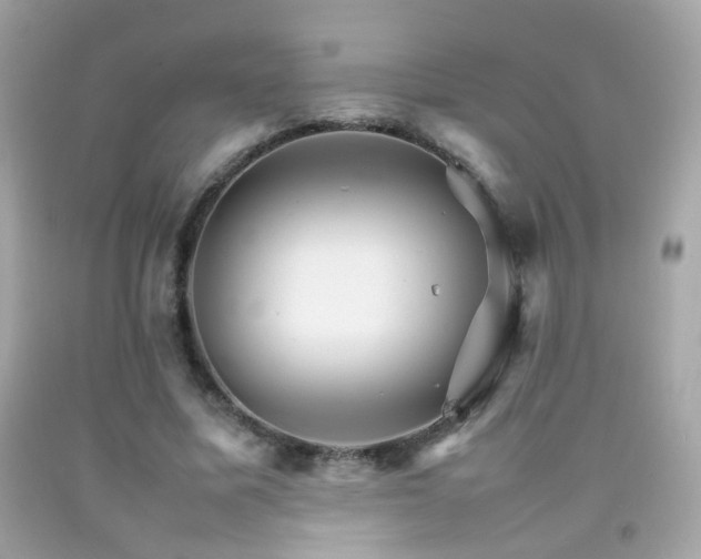 X0000092070587200709121418