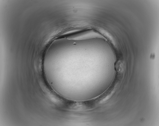 X0000092070589200709121418