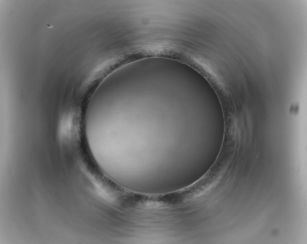 X0000092070590200709121418