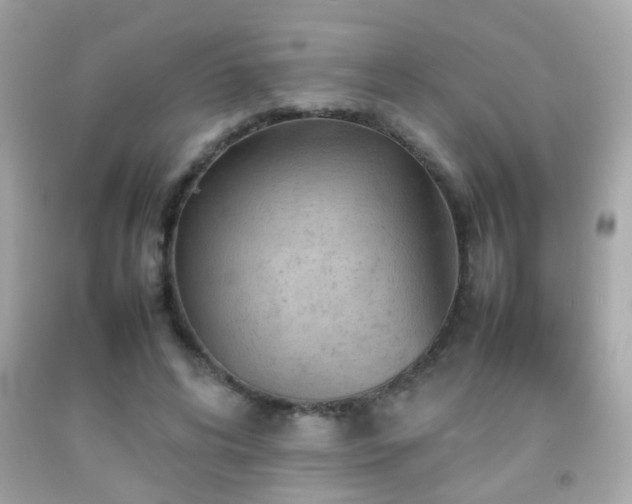 X0000092070592200709121418