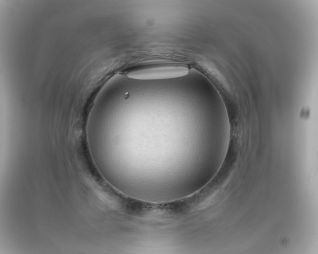 X0000092070593200709121418