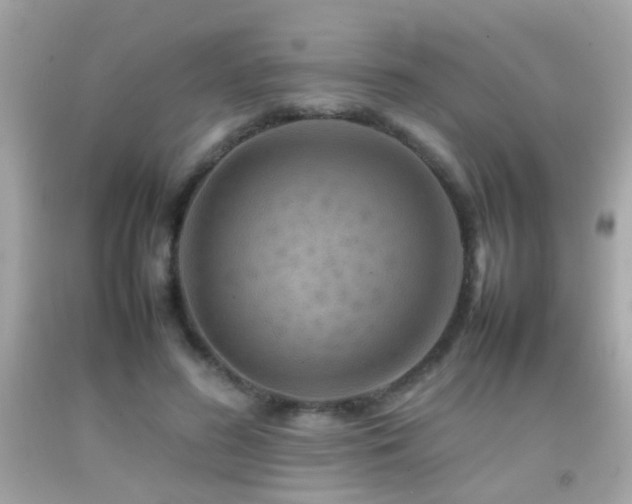 X0000092070596200709121418