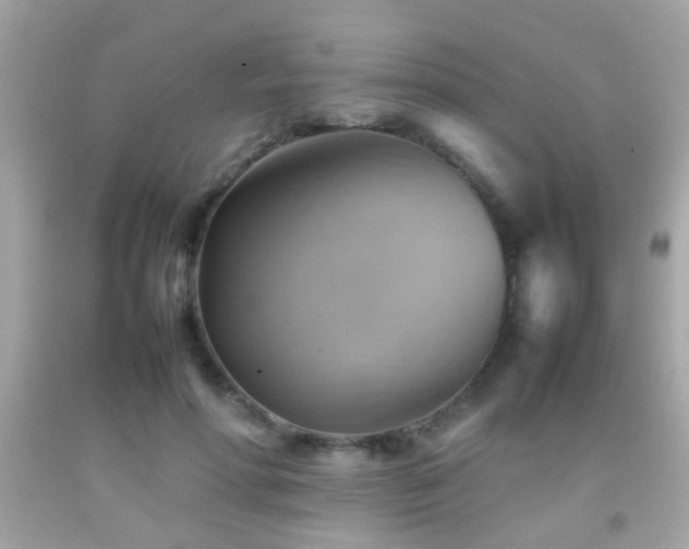 X0000092070598200709121417