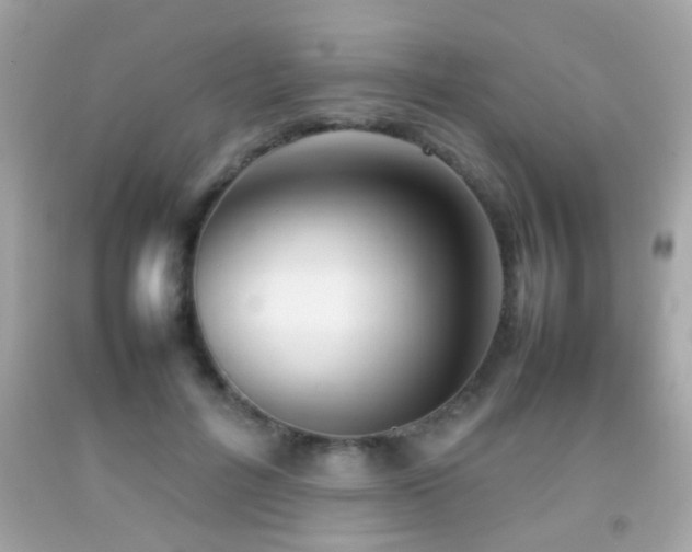 X0000092070600200709121417