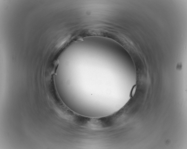 X0000092070603200709121417