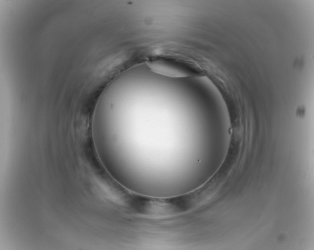X0000092070605200709121417
