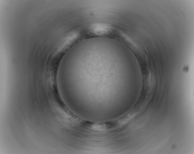 X0000092070606200709121417