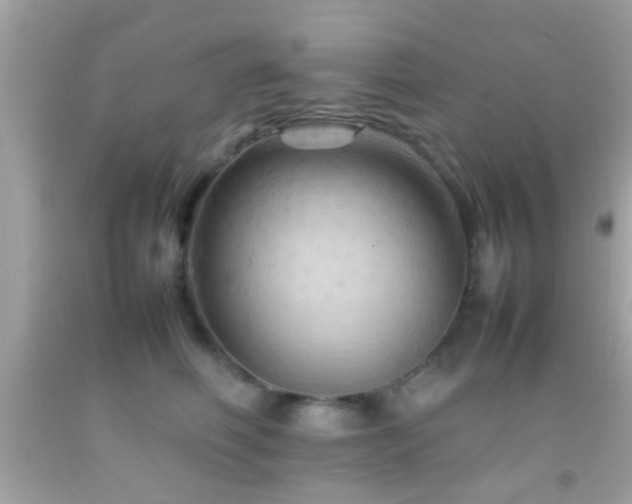 X0000092070614200709121417