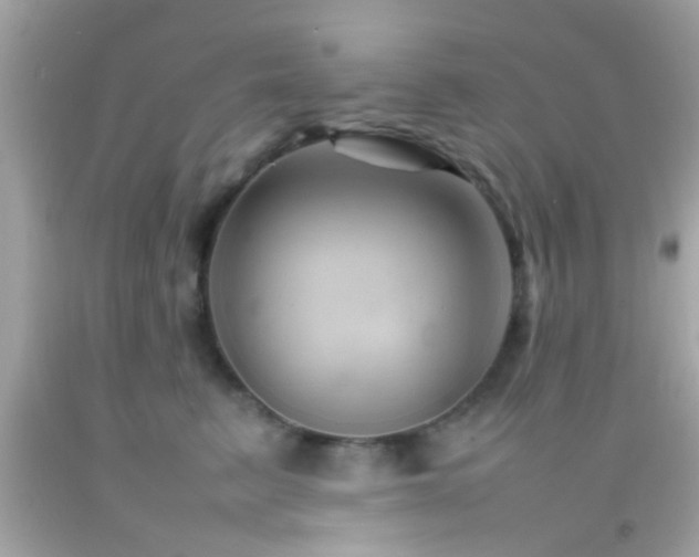 X0000092070615200709121417