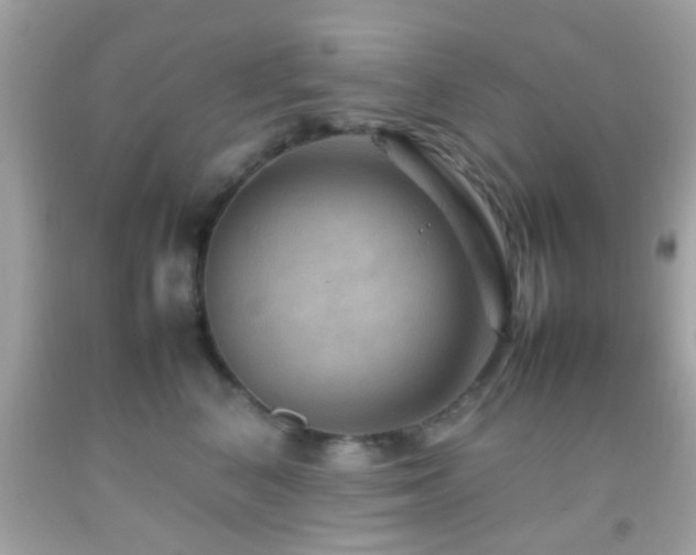 X0000092070616200709121417