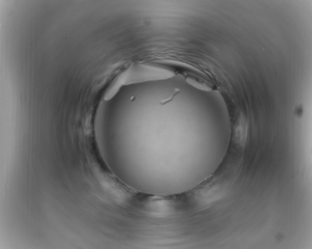 X0000092070620200709121417