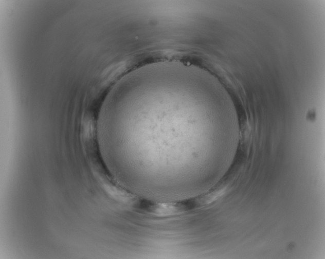 X0000092070623200709121417