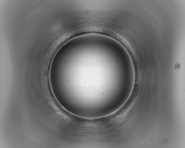 X0000092070625200709121416