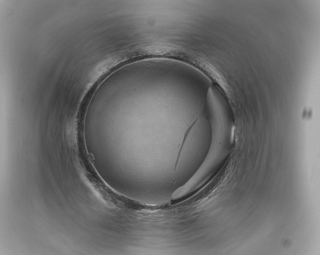 X0000092070626200709121416